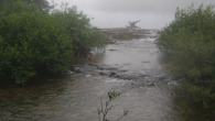 Waterton Stream