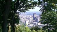 MontrealEastFramedByTrees3